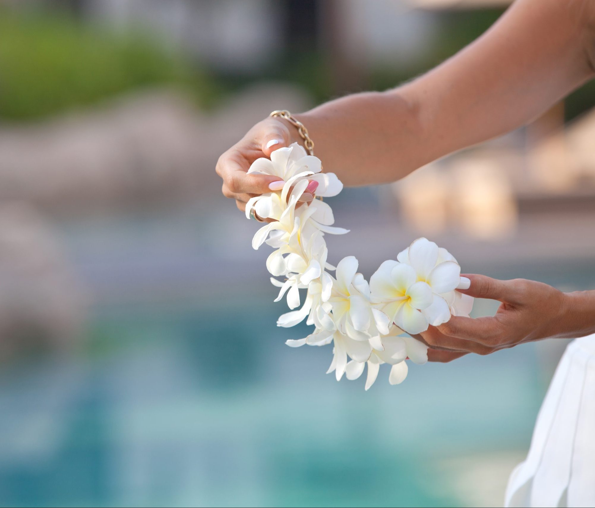 Woman hands holding flower lei garland of white plumeria, in a motion of welcome.
